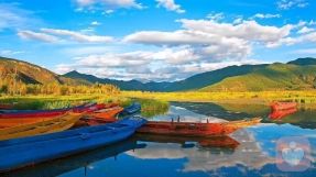 没说出口的“钝感力”