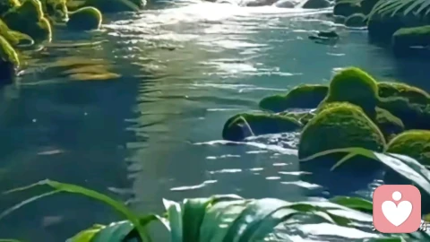 当焦虑成为时代的背景音