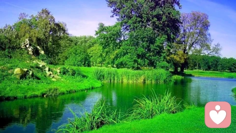 你比自己想象的更坚韧