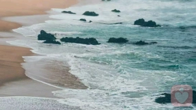 你的“情绪内耗”，正在偷走你的生命力