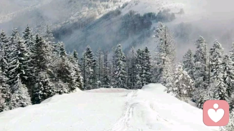 拖延的背后，是你對“完美”的執念