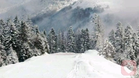 拖延的背后，是你对“完美”的执念