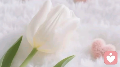 关于告别，普鲁斯特早就告诉过我们