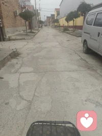 選擇一條路，就像選擇一種人生。不必羨慕別人路上的繁花，你只管深耕自己的腳步——那些你踏實走過的每一步，都會開出屬于你的花。配圖