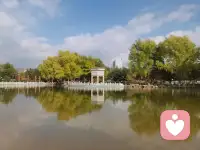 生活不是等待風暴過去，而是學會在雨中起舞。配圖