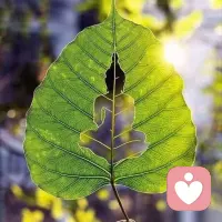 菩提本無樹，明鏡亦非臺。本來無一物，何處惹塵埃！配圖