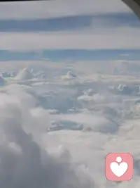 人生最大的慈悲莫過于讓花成花，讓樹成樹！配圖