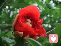 手心有你

謝謝你一直包容我，沒有丟下我，謝謝你一直的愛著我，原諒我的過錯，感謝上蒼把你賜給我，溫暖了我心窩，當我哭泣難過的時候，你會緊緊的抱著我！