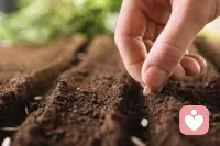 来跳舞，从此刻开始种下一颗温暖快乐的种子！

送你雪白的云朵，送你璀璨的星河，送你暖暖的春风，送你红红的山果，送你不败的花朵，送你万顷的山河，想问你的一颗心什么时候送给我！

骑上我的小骆驼，带你去看日不落，披上我的查尔瓦，带你巡游我部落，弹起我的小月琴，为你唱首小情歌，让我醉的不是酒，只是你的小酒窝！欧啦啦，欧啦啦，……