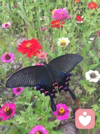 自救者，天救之，自棄者，天棄之，自佑者，天佑之！有些人活著不是為了醒來，而是為了睡得更香！我在這里等你醒來！