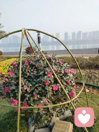 最好的關(guān)系就是各自安好，相互抱持！配圖