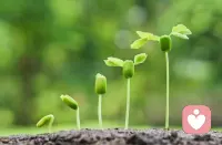 顺道而为，水到渠成！我在这里唤醒有缘人！