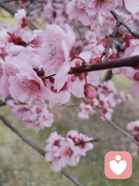 怎么也飞不出花花的世界