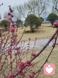 怎么也飞不出花花的世界