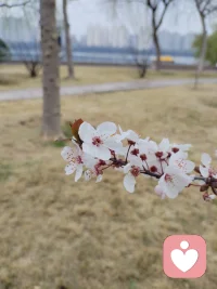 怎么也飞不出花花的世界