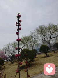 怎么也飞不出花花的世界