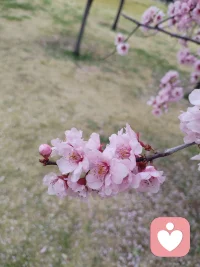 怎么也飞不出花花的世界