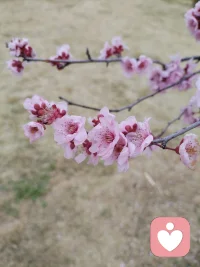 怎么也飞不出花花的世界