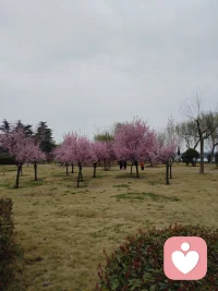 怎么也飞不出花花的世界