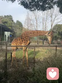 我想談論 原子 死亡 性 外星人 魔法 智力 生命的意義 遙遠的星系 讓你想跳舞的音樂 有趣的回憶
你說過的謊言 你的缺點 你最歡的氣味 你的童年 讓你徹夜難眠的東西 你的不安全感和恐懼
我喜歡有深度的人他們帶著扭曲的心態和情感說話