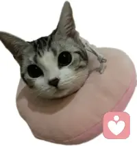 嗨嗨！改時間啦！