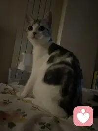 嗨嗨！改時間啦！