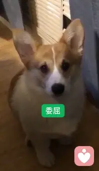 今天腸胃炎了 想休息一天??