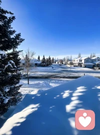 皑皑白雪洗尽了世间的喧嚣，天地间只剩纯粹的白，心也跟着静了下来。皑皑白雪像一张柔软的毯，接住了所有的疲惫。雪停了，阳光洒在皑皑白雪上，折射出细碎的光，原来冬天也可以这么温柔～