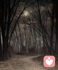 小时候的夜晚曾经这样明亮过，欲买桂花同载酒，终不似少年游~