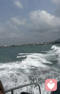 我们不缺让我们认清现实的智者，我们缺少带我们进入童话的英雄。我们往往习惯了为了一顿饺子买一碟醋，却冷落了为了一碟醋而包一顿饺子的所谓童心。配图