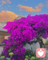 我们不缺让我们认清现实的智者，我们缺少带我们进入童话的英雄。我们往往习惯了为了一顿饺子买一碟醋，却冷落了为了一碟醋而包一顿饺子的所谓童心。配图