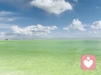 《丙午纸鸢兑志》
天有晴云水也清，良辰美景映其中。
贪得亥子丑寅时，六气转邪伤自身。
吾心静思养心神，书停笔滞留酉戌。
梦聚佳亲任忆暖，龙吟虎啸卯辰间。
步卒耕辛立命根，容于我爱在余暇。
圈槽围栏层层破，术医巧学样样生。
金玉换烛光阴渡，行旅载魅惊坤乾。
望悔通道醒日月，决策断前入神魂。