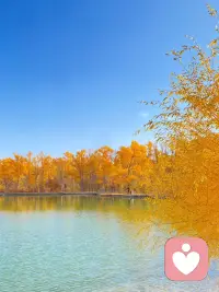 闲暇游走在古书籍中，酣畅淋漓的吮吸来自精神的供养，字句段落之间勾勒出一幅幅画面，在独立思维逻辑推理分析与深度思考里并行，总结归纳的笔痕在纸张上展现出俏影身姿，☕️咖啡的热气烘托着左侧旋窗，温馨的光抚慰着短暂的夜，回归身心与爱好的时光总是如此美好，光阴总是短暂，时间总是缺少，开智开悟之余到了不惑之年，唯独寄情于山水，融通与自然。以学能来秀场，游戏人生～配图