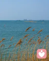 闲暇游走在古书籍中，酣畅淋漓的吮吸来自精神的供养，字句段落之间勾勒出一幅幅画面，在独立思维逻辑推理分析与深度思考里并行，总结归纳的笔痕在纸张上展现出俏影身姿，☕️咖啡的热气烘托着左侧旋窗，温馨的光抚慰着短暂的夜，回归身心与爱好的时光总是如此美好，光阴总是短暂，时间总是缺少，开智开悟之余到了不惑之年，唯独寄情于山水，融通与自然。以学能来秀场，游戏人生～配图