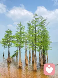 万般书籍皆滋养于我，航海的经历对于看一些几近崩溃和折磨的揭露社会黑暗角落的书籍来说真是不可缺少的一个对冲阻尼器。黑暗中的真实远比阳光下的伪善对我有帮助，更能深度了解人性，引人不禁深度思考，重新看待世俗纷争。配图