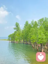有一喝牛奶就拉肚子的人，他她们首先会问医生，或是在网络上寻求答案，也或是问AI,来判断牛奶到底能不能喝。甚至会在中西医哪个更靠谱这个话题上争辩。但是回归到问题本身，关于牛奶到底能不能喝，到底应该相信谁呢？配图