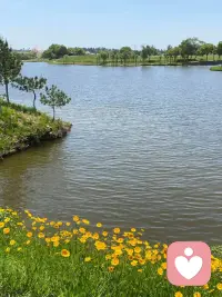 有些人对听话和懂事这两个词感到深恶痛绝，这种感觉很真实。听话和懂事属于利他型词语，带有对他人主体性赤裸裸的规训。