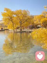 一件事反复横跳，真是一波未平一波又起，不想承担内耗，直接上六爻，天火同人。但是这次没有信心，虽然是吉，事可成，但是有点不相信。人心和天意的角逐，用客观现实验证一下吧，交给时间。配图