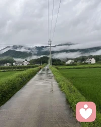 最是人间留不住，五月朱颜花辞树。初识芙蓉醉于颜，近品远望美如仙。相逢已是上上签，何须相思煮余年。