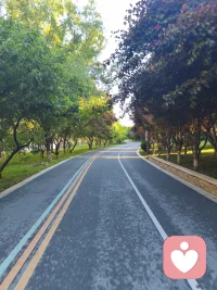 人间的最顶级享受:大约是6岁那年，初冬的一个晚上，晚饭还没做好。我困得不行了，躺在灶台旁柴火堆里睡着了。奶奶把我抱起来，一边烧火一边抱着我睡，那是一锅热腾腾的大馒头。灶台里的火烤着暖洋洋的，闻着锅里馒头香,躺在奶奶暖暖的怀抱里，现在想起来依然很幸福。本人今年不惑之年已过，这记忆里的温度，不治愈了我多少次深夜的崩溃。