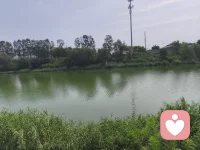流共工于幽洲，放驩兜于崇山，窜三苗于三危，殛鲧于羽山，四罪而天下咸服。——《尚书 · 虞书 · 尧典》
译文：把共工流放到幽州，放逐驩兜到崇山，迁徙三苗部族到三危，诛杀鲧于羽山。惩处这四个罪人，天下全都归服。
