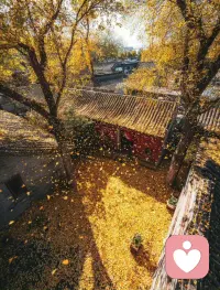 晚上解玄:
天辅星在巽四宫。
每天开心且必做之事就是掘悟老祖宗的智慧宝库。
