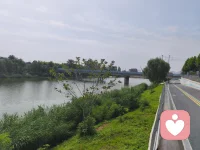 二十有八载，帝乃殂落。百姓如丧考妣，三载，四海遏密八音。——《尚书 · 虞书 · 尧典》
译文：舜摄政二十八年后，尧帝逝世。百官如同死去父母，三年之间，天下停止一切音乐。