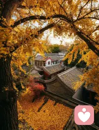 晚上解玄:
天禽星在中五宫。
每天开心且必做之事就是掘悟老祖宗的智慧宝库。