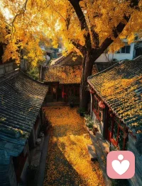 晚上解玄:
天心星在乾六宫。
每天开心且必做之事就是掘悟老祖宗的智慧宝库。