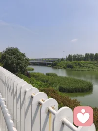 帝曰：“弃，黎民阻饥，汝后稷，播时百谷。”——《尚书 · 虞书 · 尧典》
译文：舜说：“弃，百姓困于饥饿。你担任后稷，教民众播种五谷。”