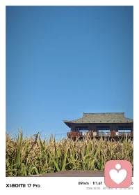 奔赴红海滩，单程五个半小时的奔波。
 
心理学里有个概念：认知失调后的奖赏感。
越是历经周折得来的风景，内心的体验越是深刻。
疲惫是铺垫，辛苦是滤镜。
所有咬牙坚持走过的路，终会变成看见美景时的满心欢喜。
生活，美景，皆是如此。
 

 
#红海滩 #旅行感悟 #心理成长