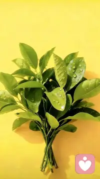 當你看著手機，刷著抖音，翻遍微信好友，卻不知道找誰傾訴一下，你有這種感覺嗎？如果有，可以隨時找我傾訴配圖