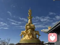 且停且忘且隨風，且行且看且從容配圖