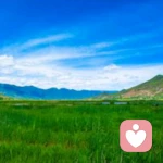 涛的头像